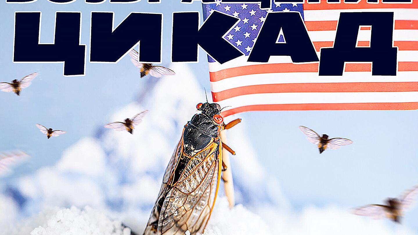 Нашествие цикад. Нашествие цикад США. Нашествие цикад США 2021. Цикада трейлер. Нашествие насекомых в Москве 2023.
